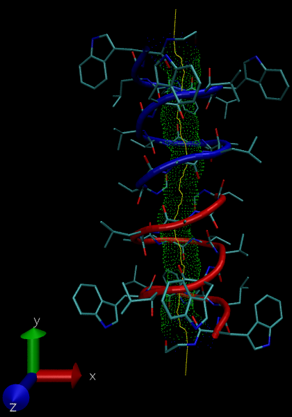 vmd rendering of 1grm HOLE dot surface captured with Tachyon